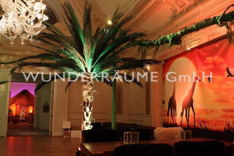 Palme XL – 4