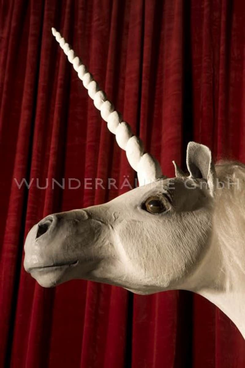 Weißes Einhorn, Pferd – 4