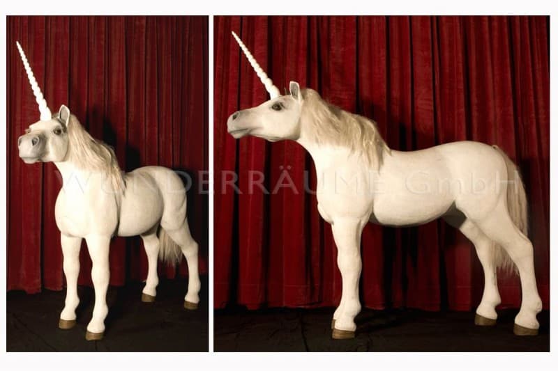 Weißes Einhorn, Pferd – 3