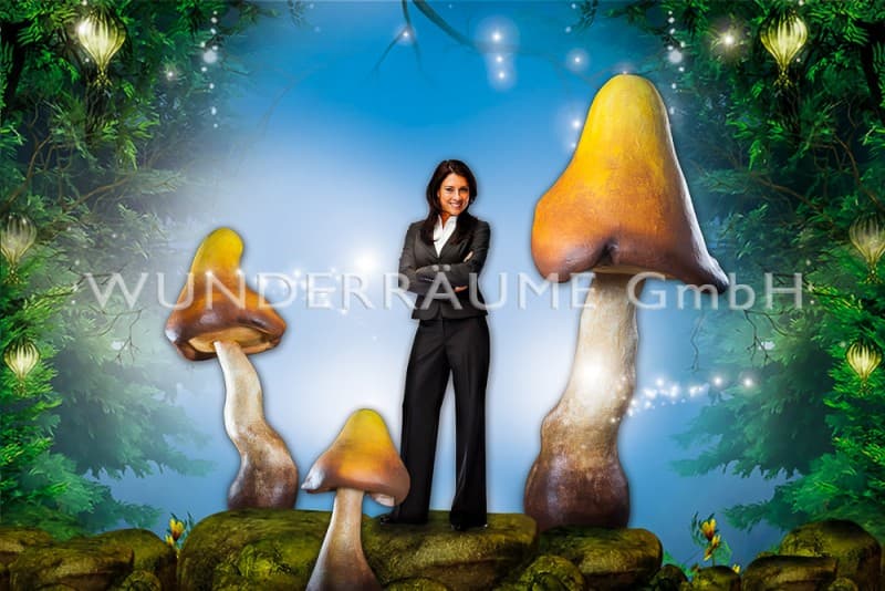 Pilze groß, Pilzset Champignon/Pfifferlinge (9 Pilze) – 2