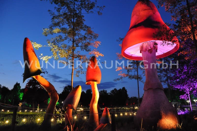 Pilze groß, Pilzset Regenbogenpilz (5 Pilze) – 2