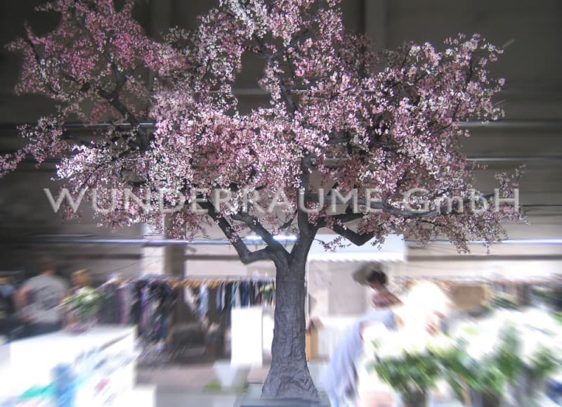 Kirschblüten-Baum XL, rosa – 2