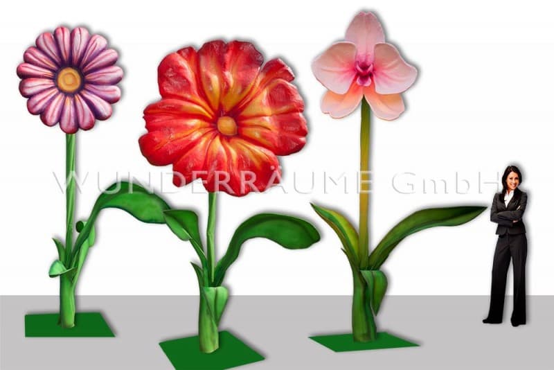 10 Riesenblumen bis 4 m Höhe – 3