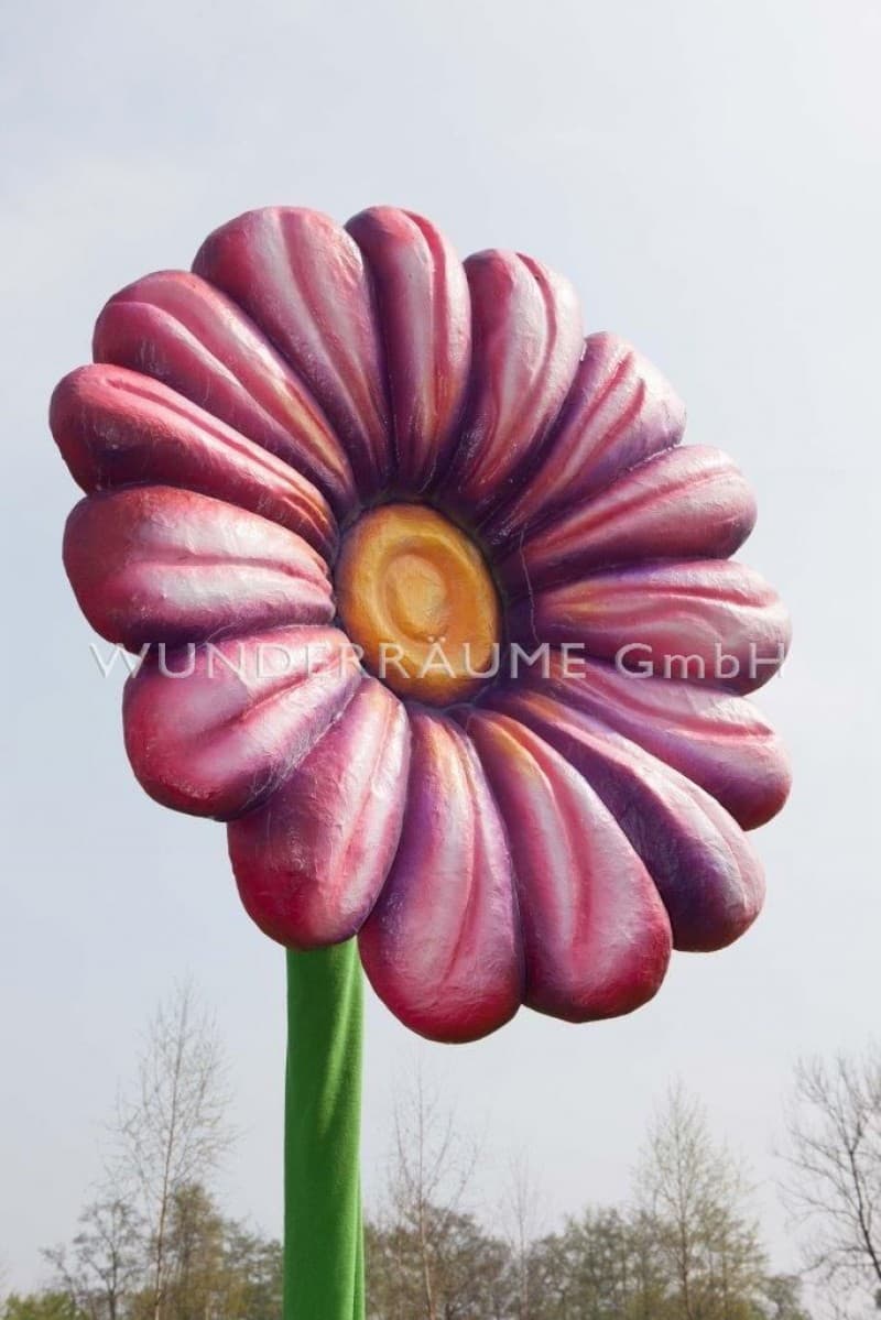 3 Riesenblumen bis 4 m / SET 3 – 4