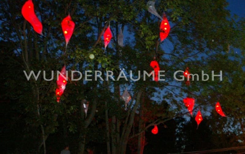 Lichtkokons für Bäume, Fassaden, Säle u.v.m. – 5