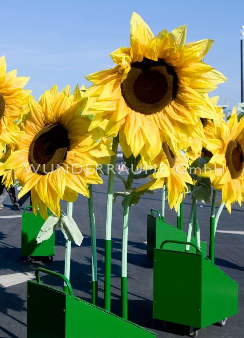 Sonnenblumen XL – 2