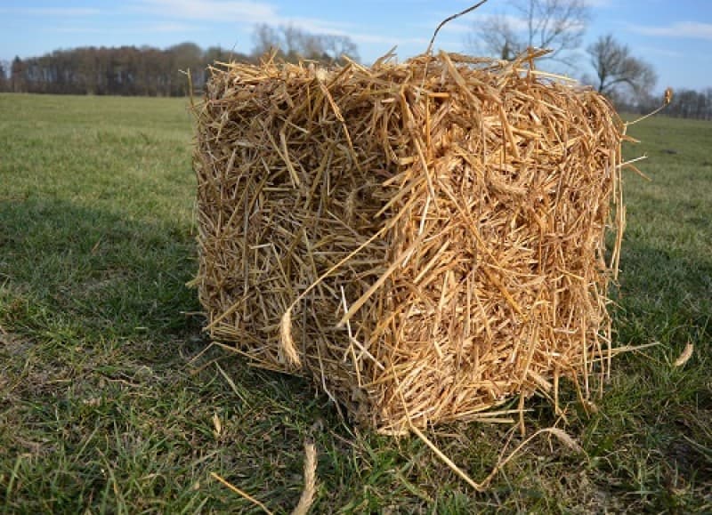 Strohballen, Stroh, Herbst Dekoration, Erntefest – 2