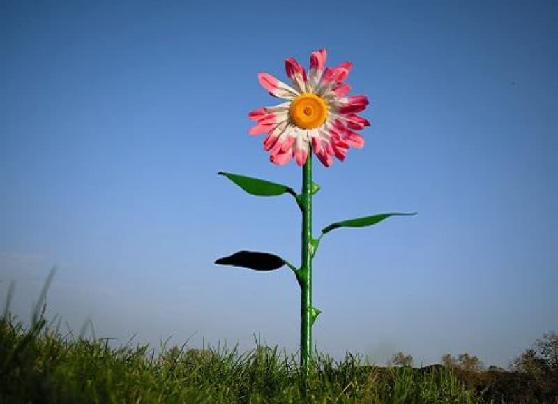 Riesen - Blumen - XXL - Riesenblume, Wonderland – 2