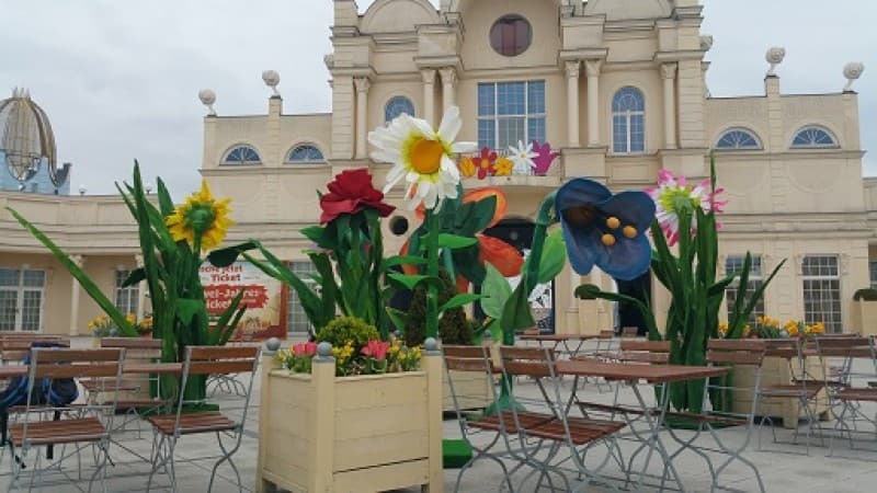 Riesen - Blumen - XXL - Riesenblume, Wonderland