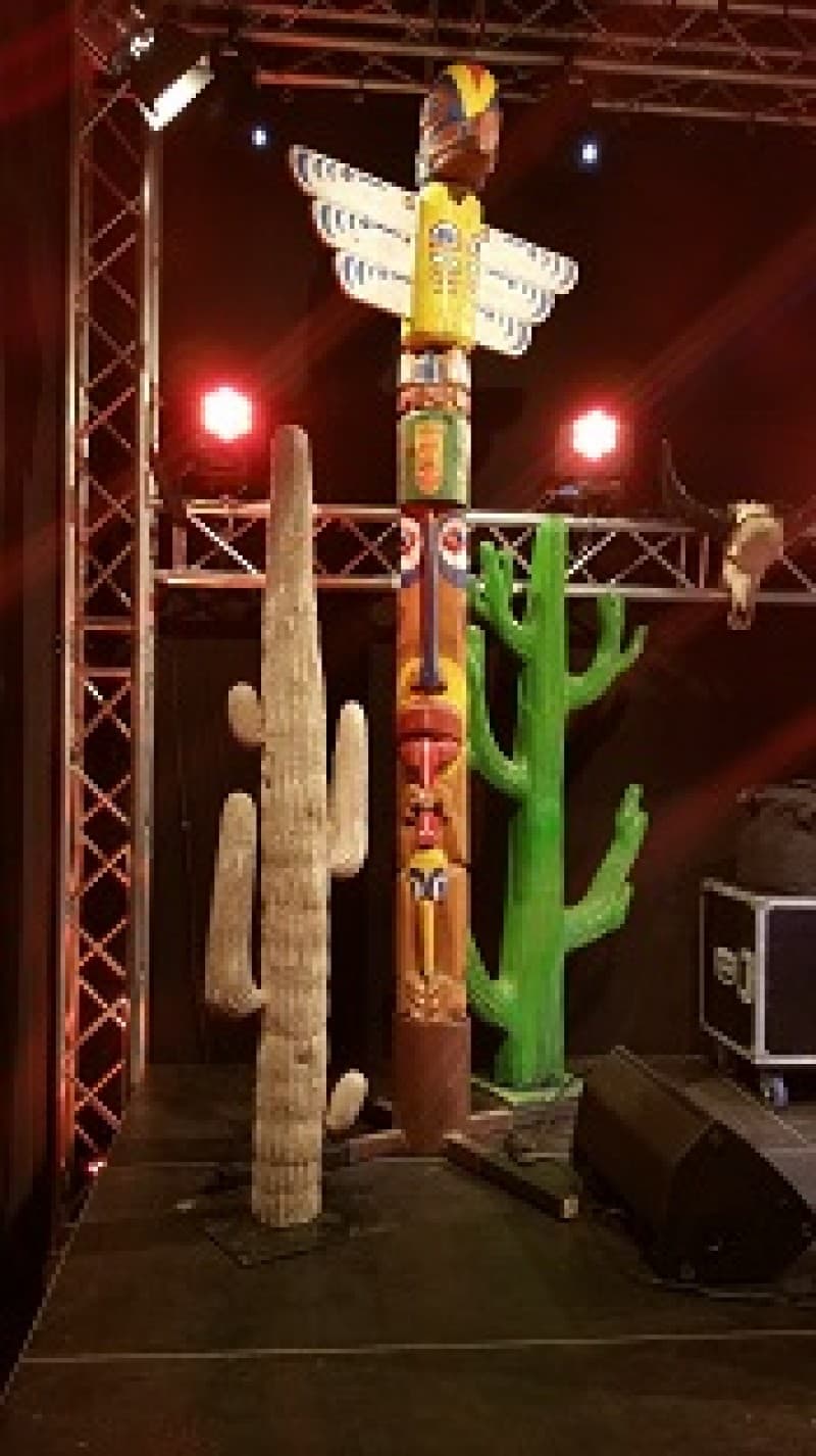 Kakteen, Kaktus, Western – 3