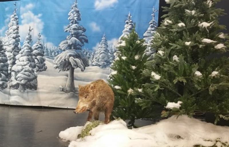 Waldlandschaft mit ausgestopften Tieren - mit und ohne Schnee , Winterlandschaft , Winterdekoration