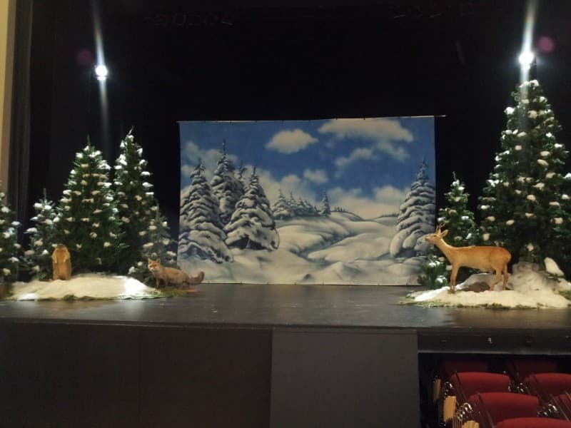 Waldlandschaft mit ausgestopften Tieren - mit und ohne Schnee , Winterlandschaft , Winterdekoration – 2