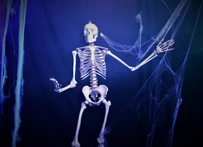 Skelett , Piraten Dekoration , Halloween Dekoration – 5