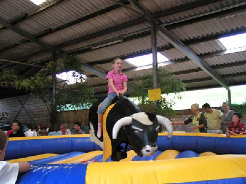 Bullriding / Rodeo – 3