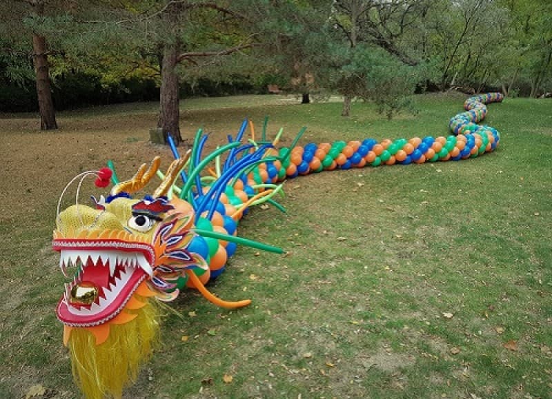 Chinesischer Drache - Tanzdrache aus Ballons - Ballondrachen – 3