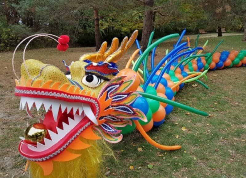 Chinesischer Drache - Tanzdrache aus Ballons - Ballondrachen