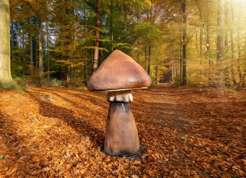 Riesen Pilze , Pilz , Herbstdekoration, Wonderland – 4