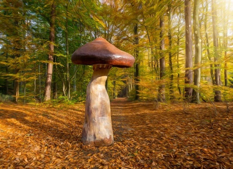 Riesen Pilze , Pilz , Herbstdekoration, Wonderland – 3