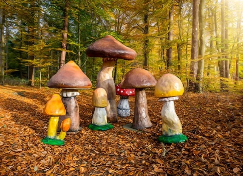 Riesen Pilze , Pilz , Herbstdekoration, Wonderland