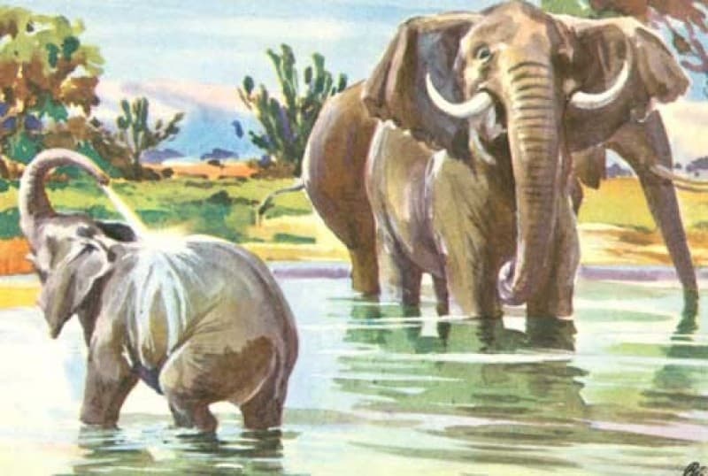 Afrika Kulisse/Kulissen - www.ideko.de – 3