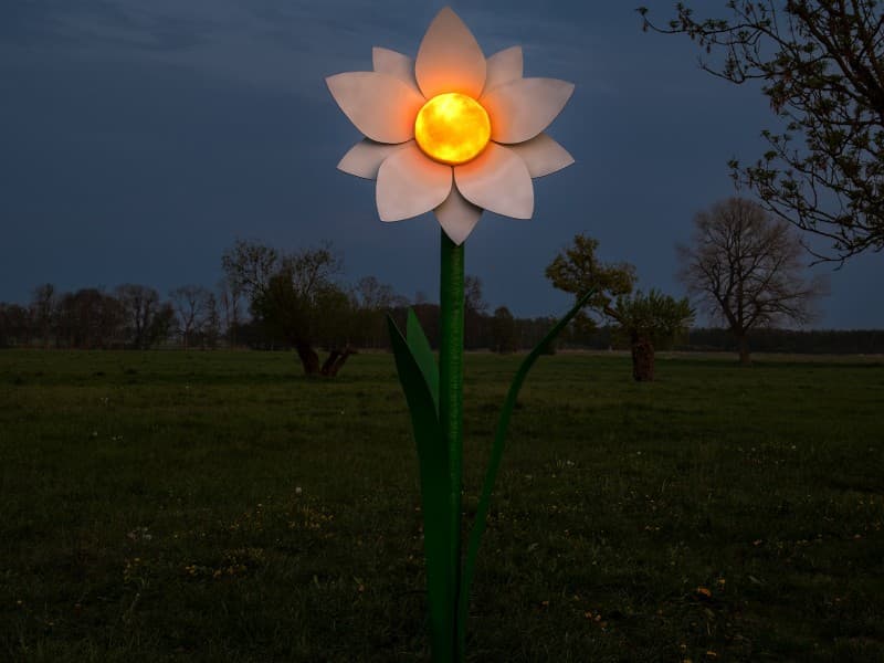 Leuchtende Blumen - Blumenwiese Riesen Blumen – 3