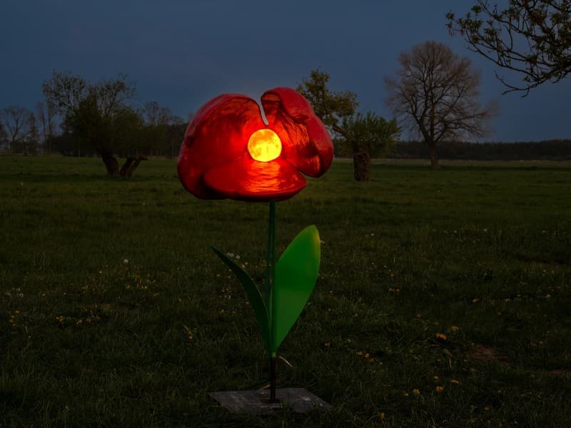 Leuchtende Blumen - Blumenwiese Riesen Blumen – 4