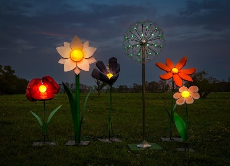 Leuchtende Blumen - Blumenwiese Riesen Blumen