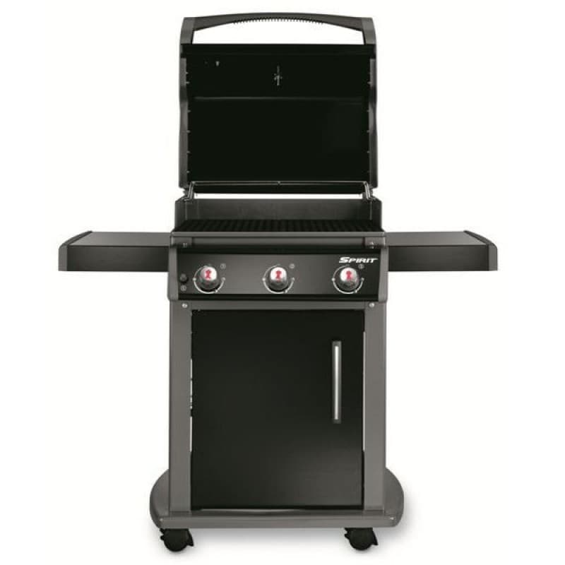 BBQ Gasgrill 600 x 450 mm BBQ Grill Partygrill mieten Mietpark Elsdorf