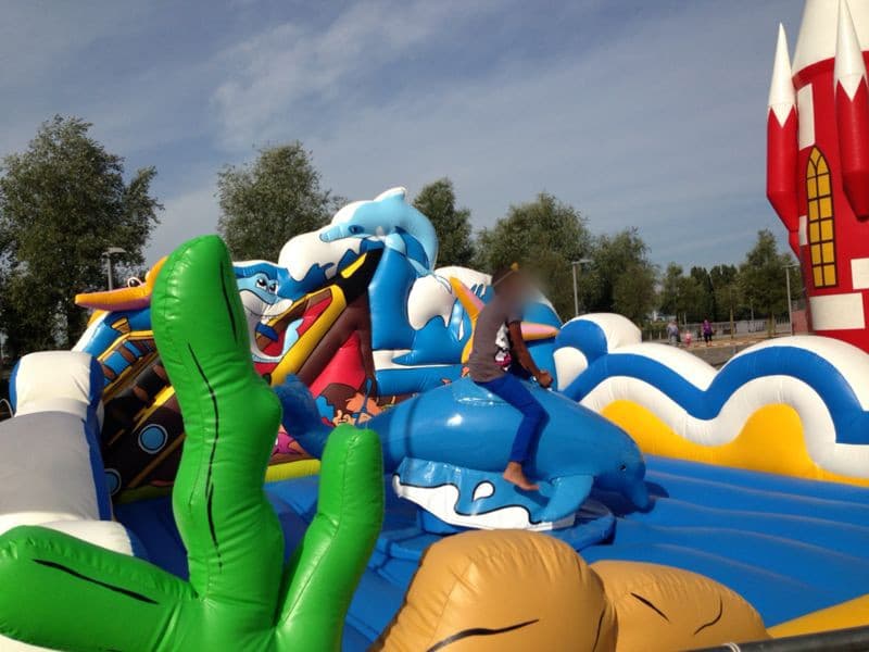 Delphin Rodeo / Dolphin Riding / Rodeo / Bull Riding / Beach Party – 3