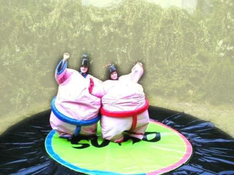Sumo-Wrestling