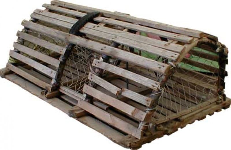 Hummerkäfig